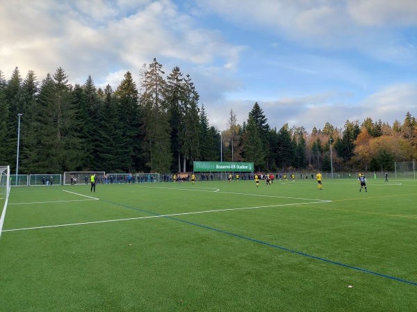 Brauerei-Elf Stadion - Weilheim/Baden-Remetschwiel