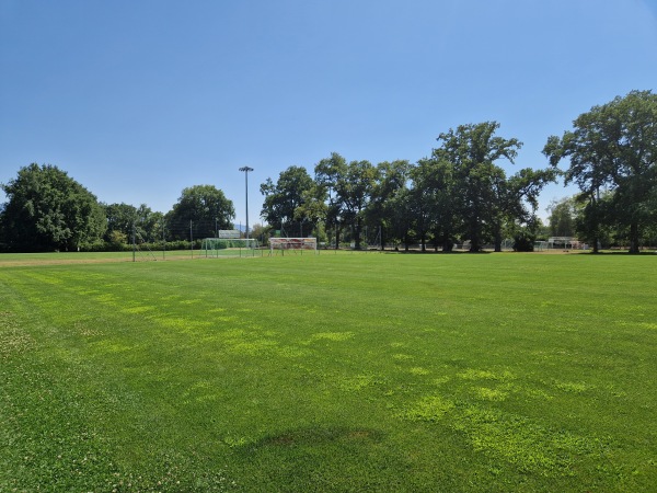 Centre Sportif Intercommunal des Evaux terrain 2 - Onex