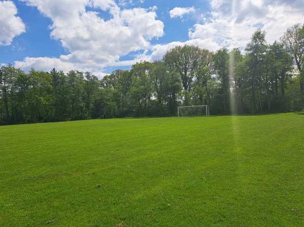 Sportveld De Fielliettaz Goethart veld 3 - Tynaarlo-Vries