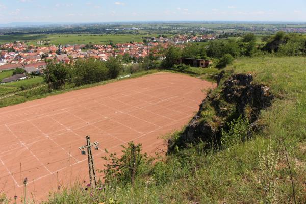 Sportplatz in den Weingärten - Kallstadt