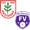 Wappen SGM Nussdorf/Roßwag II