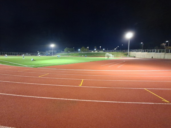 Dimotiko Athlitiki Kentro Polichnis - Polichni