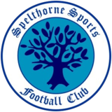 Wappen Spelthorne Sports FC  83171