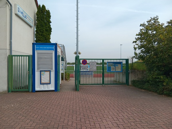 Stadion Am Alten Galgen - Wachenheim/Weinstraße