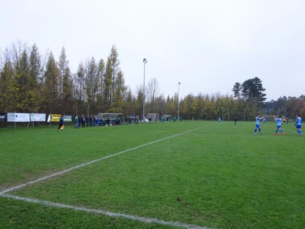Raiffeisen Arena Platz 3 - Pasching