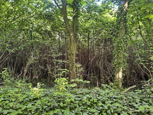 Sportplatz Auf der Tüte - Unna-Massen