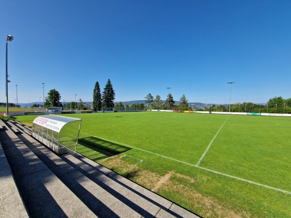 Sportanlage Waldegg Platz B - Horgen