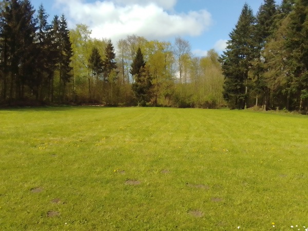 Waldstadion Nebenplatz - Lübstorf