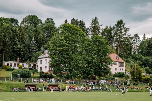 Stadion an der Elsterstraße - Adorf/Vogtland