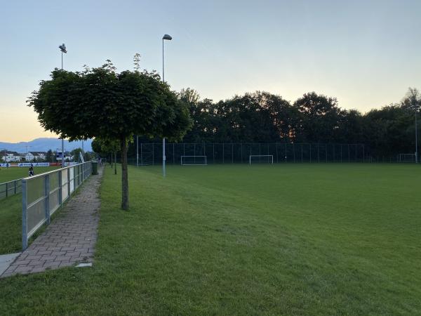 Sportplatz Rheinauen Platz 2 - Diepoldsau