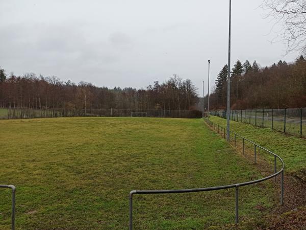 Pneuhage Stadion Nebenplatz - Karlsbad-Auerbach
