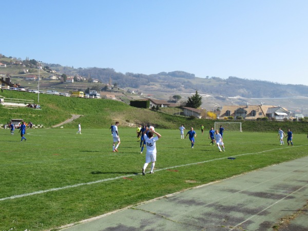Stade des Ruvines - Cully