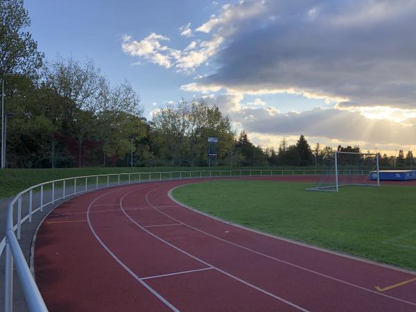 Friesenstadion - Sangerhausen