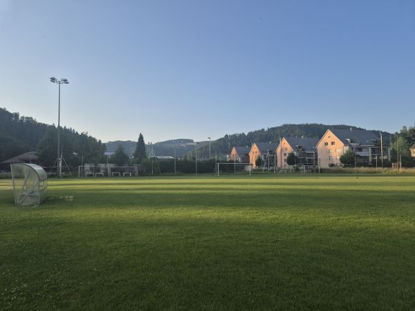 Sportplatz Gmeiwerch Platz 2 - Turbenthal