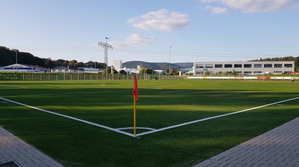 Menz Arena - Steinbach-Hallenberg-Herges-Hallenberg