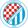 Wappen NK Šokadija Duboševica
