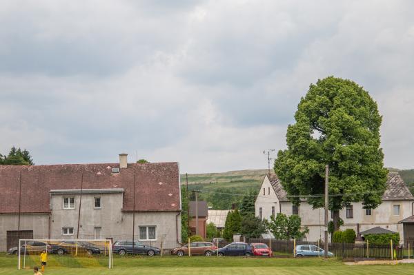Hřiště SK Božičany - Božičany