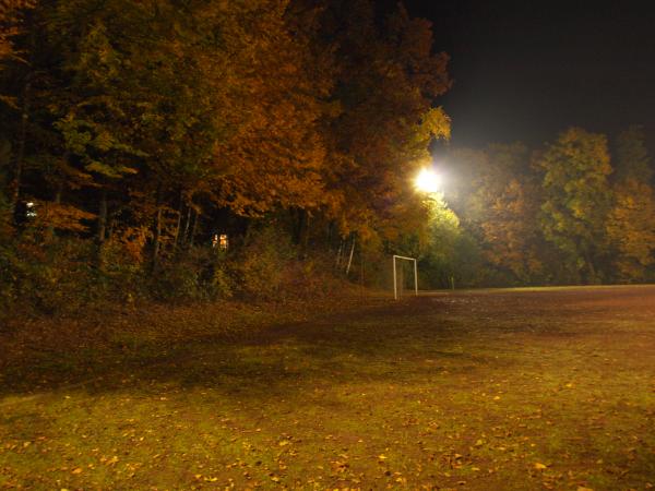 Sportanlage Everstalstraße Platz 2 - Bochum-Langendreer