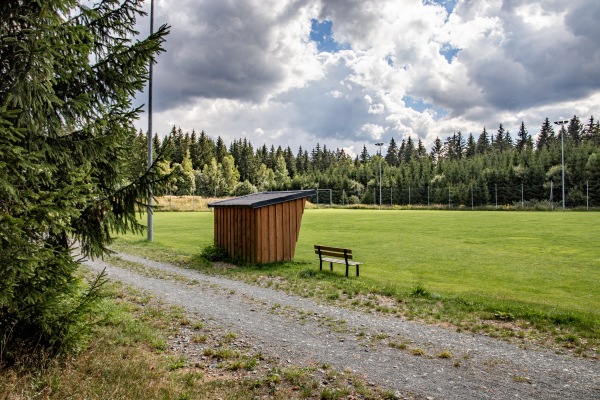 Waldsportplatz 2 - Auerbach/Vogtland-Beerheide