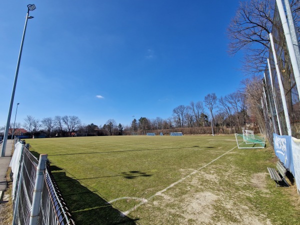 Stadionul Emil Alexandrescu iarbă - Iași