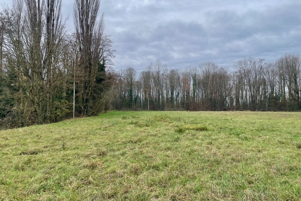 Waldsportplatz - Efringen-Kirchen-Huttingen