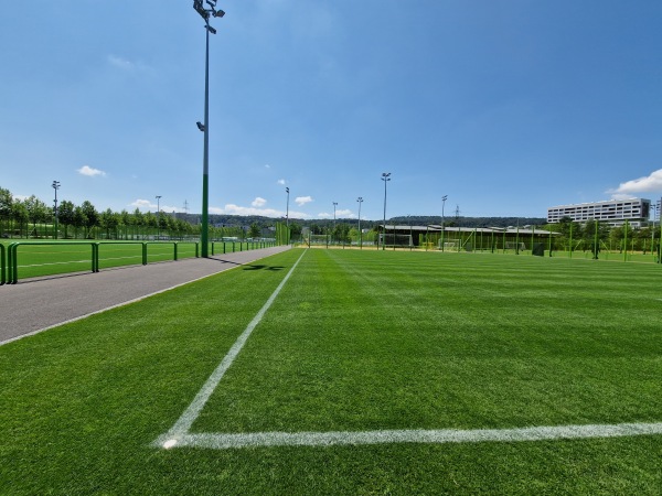 Sportanlage Heerenschürli Platz 14 - Zürich