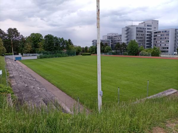 Nachwuchsleistungszentrum SV Horn Hauptplatz - Hollabrunn