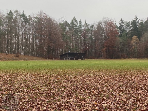 Sportplatz im Wald - Betzenstein