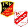 Wappen SG Fortuna Salzgitter II / Beinum (Ground B)