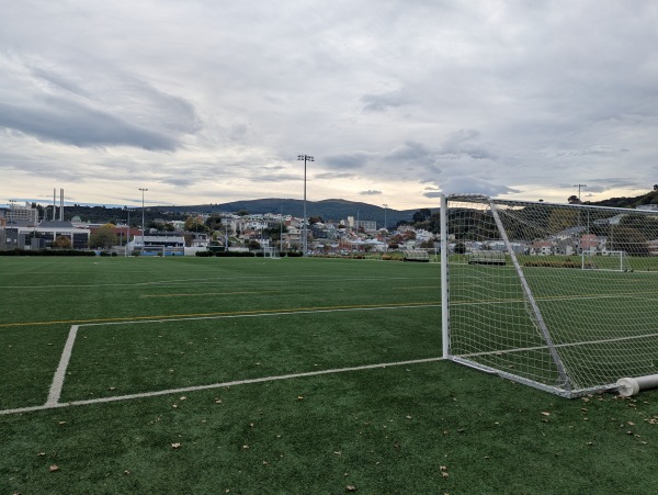 Logan Park Field A2 - Dunedin