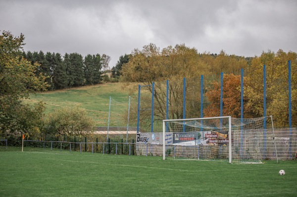 Sportanlage Jahnstraße - Ellefeld