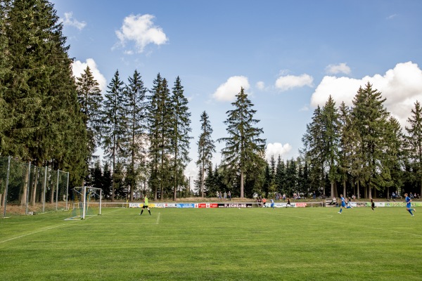 Waldsportplatz - Auerbach/Vogtland-Beerheide