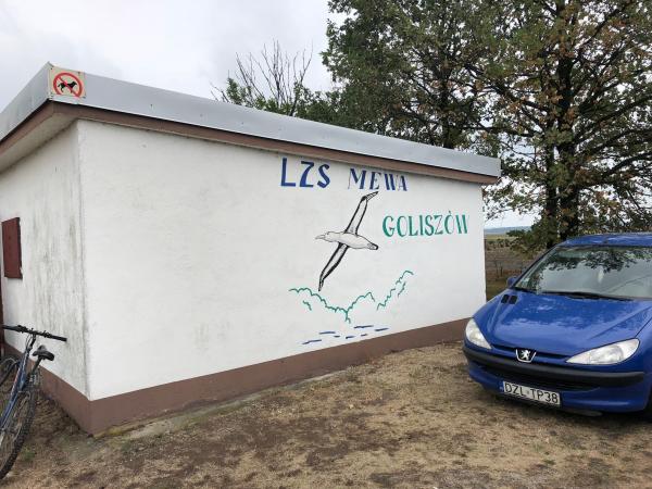 Boisko w Goliszowie - Goliszów