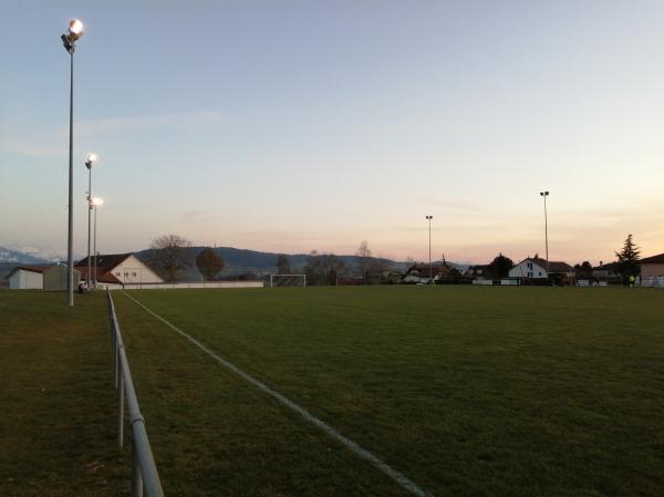 Terrain aux Grands Bois - Cottens