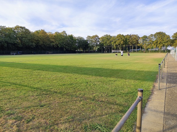 Zuidersportpark veld 2 - Terneuzen