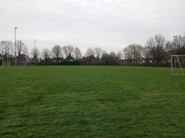 Sportpark het BOSSpark veld 3 - Sittard-Geleen