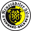 Wappen Neustädtler SV Schwarz-Gelb 90  29580
