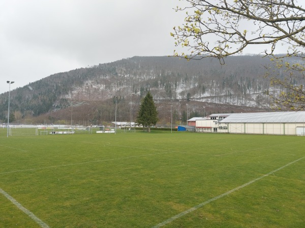 Sportplatz Moos Platz 2 - Balsthal