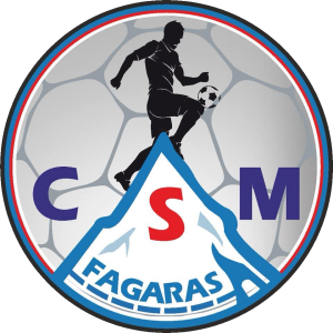 Wappen CSM Făgăraș