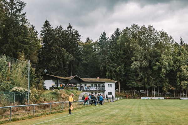 Schallerbachsportplatz - Auerbach/Vogtland-Brunn