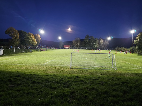 Sportplatz am Freibad - Freudenberg/Oberpfalz