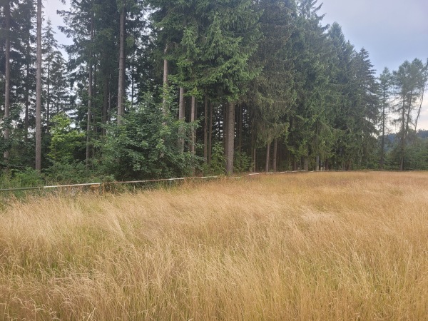 Sportplatz am Heubachsberg - Großbreitenbach-Altenfeld