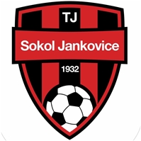 Wappen TJ Sokol Jankovice