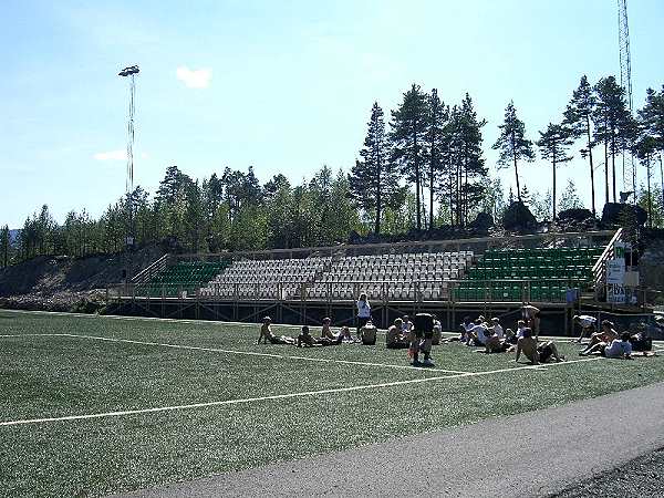 Blåbærmyra kunstgress  - Fagernes/Nord Aurdal 