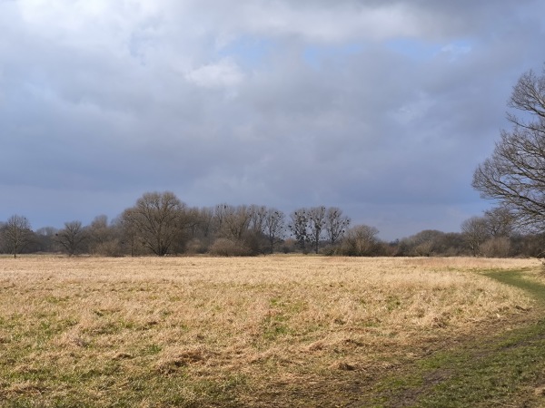 Sportanlage Dorotheenstraße C-Platz - Hannover-Leinhausen
