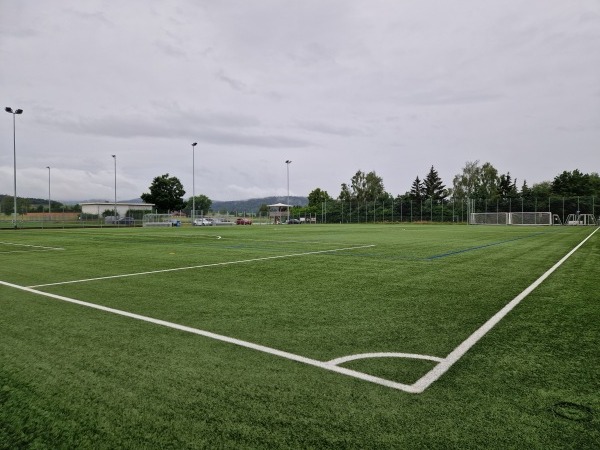 Sportplatz Rietsamen Platz 2 - Wiesendangen