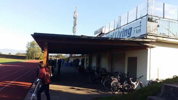 Friedrich-Stephan-Stadion - Rheinau/Baden-Freistett