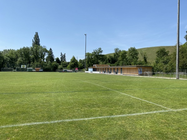 Stade Municipal du Moulin - La Plaine