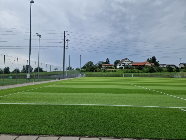 Sportanlage Grüntal Platz 3 - Wittenbach