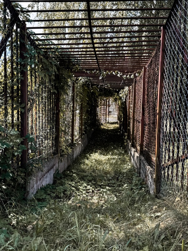 Stadion przy ul. Szczepaniaka - Kielce